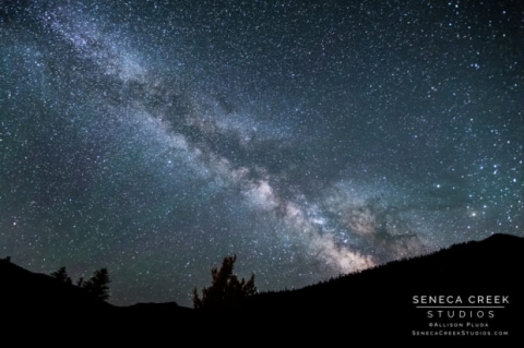 SenecaCreekStudios.com by Allison Pluda - Yellowstone Cabin Portraits at Night Under the Stars, Wyoming
